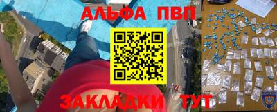 амф Кингисепп