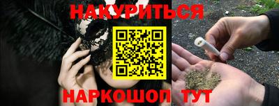 амф Кингисепп
