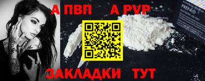 амф Кингисепп
